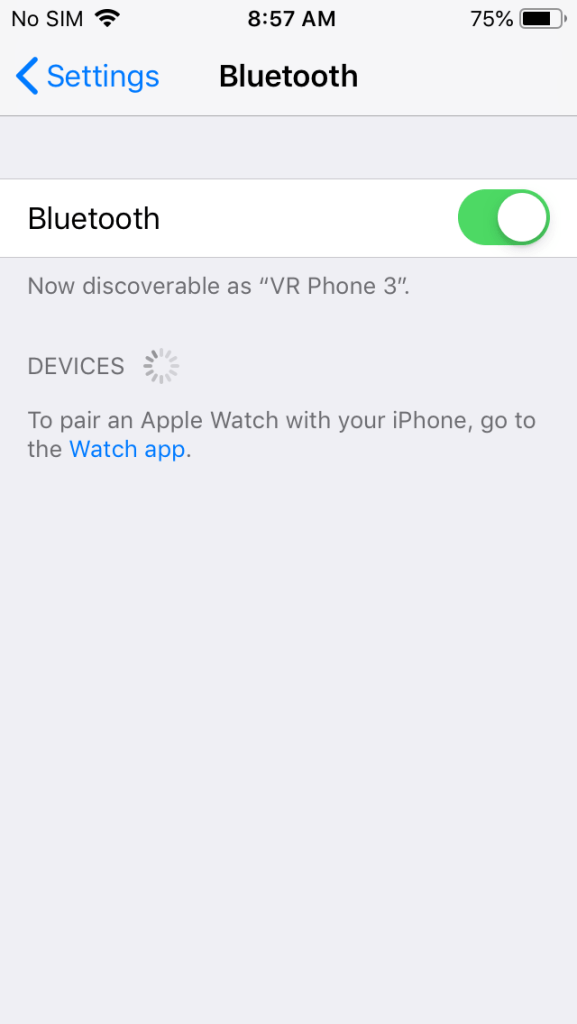 iOS Settings Bluetooth screen with Bluetooth turned on